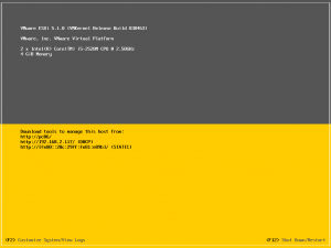 ESXi51KurulumB1 (11)