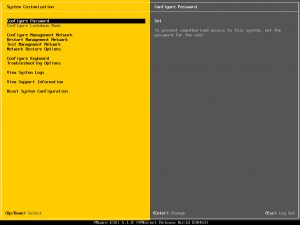 ESXi51KurulumB1 (13)