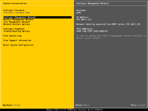 ESXi51KurulumB1 (14)