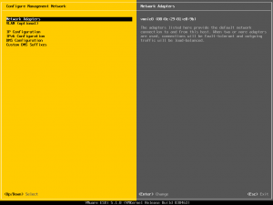 ESXi51KurulumB1 (15)