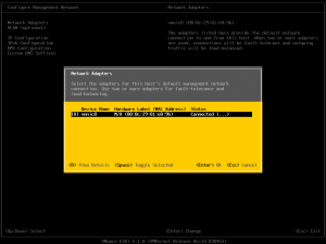 ESXi51KurulumB1 (16)