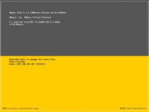 ESXi51KurulumB1 (25)