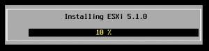ESXi51KurulumB1 (9)